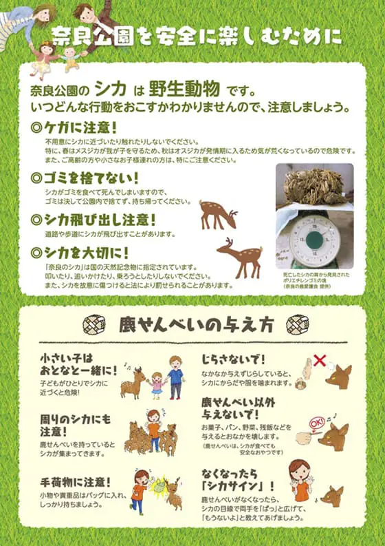 奈良公園實施餵鹿新規定。(資料來源:奈良公園室官方網站)