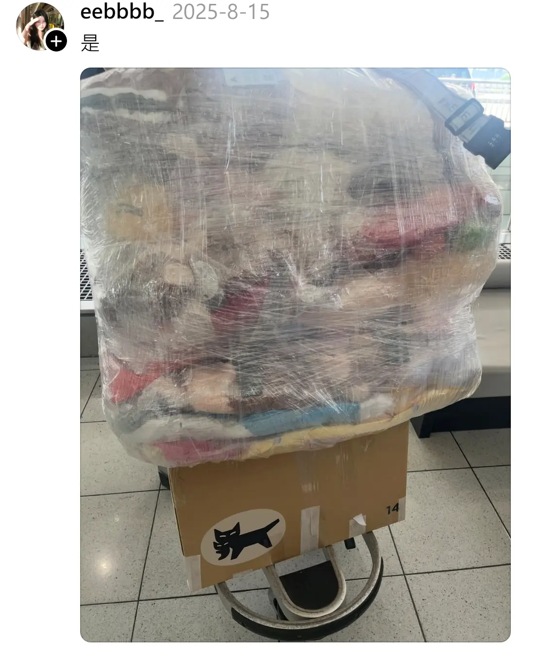 熱話|香港人日本夾公仔夾到似人口販運，網民：係咪要報關？📦🤣