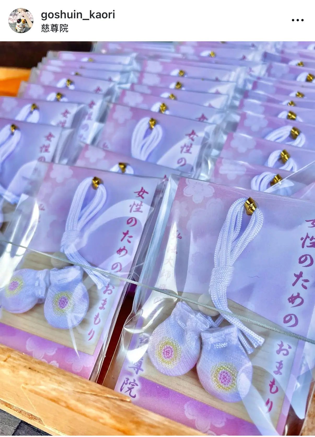 遊日|世界遺產深度遊！和歌山慈尊院 乳房絵馬＋全攻略 💎🗺️