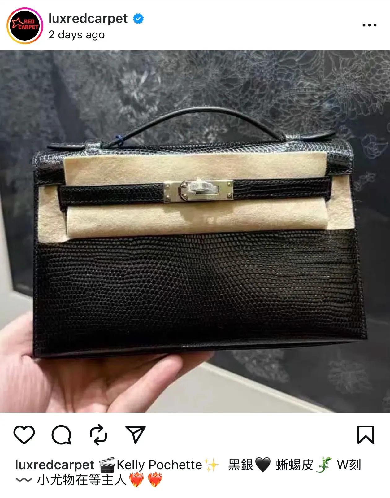 Hermès Kelly Pochette 蜥蜴皮。(資料來源:社交平台)