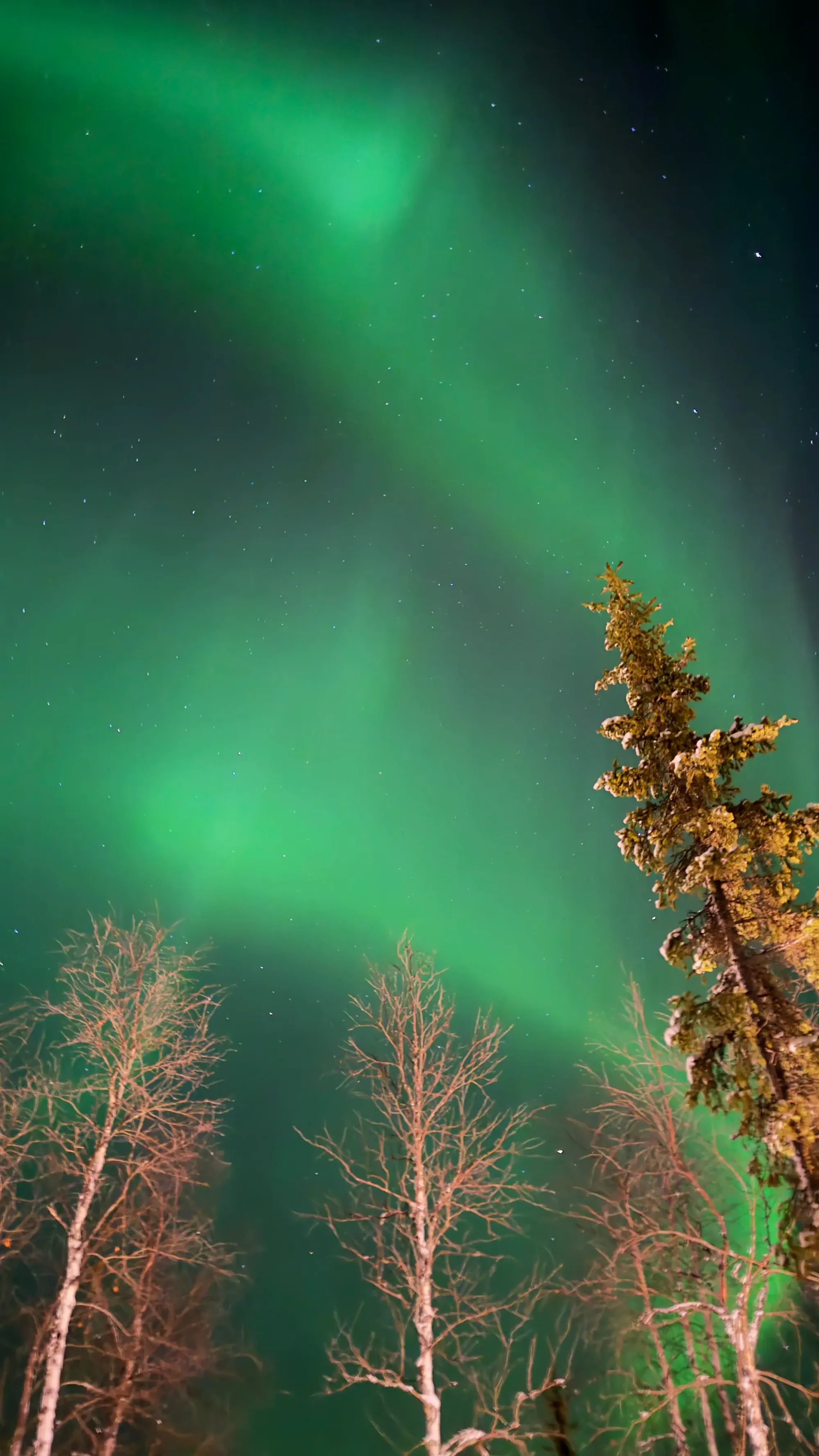 芬蘭Levi玻璃屋|漫天星空 Jacuzzi 北極光舞動 馴鹿陪食飯✨❄️💑