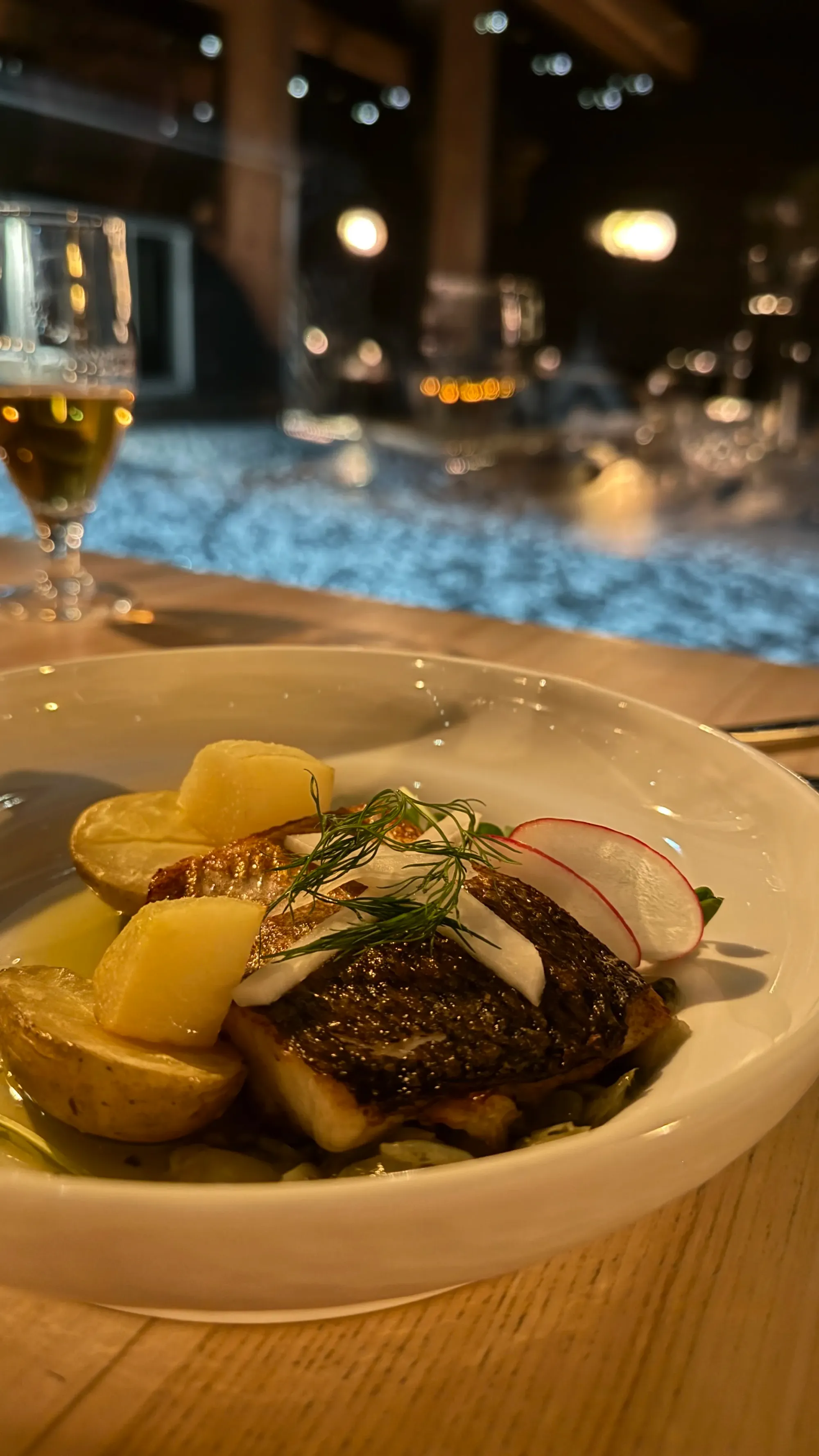 芬蘭Levi玻璃屋|漫天星空 Jacuzzi 北極光舞動 馴鹿陪食飯✨❄️💑