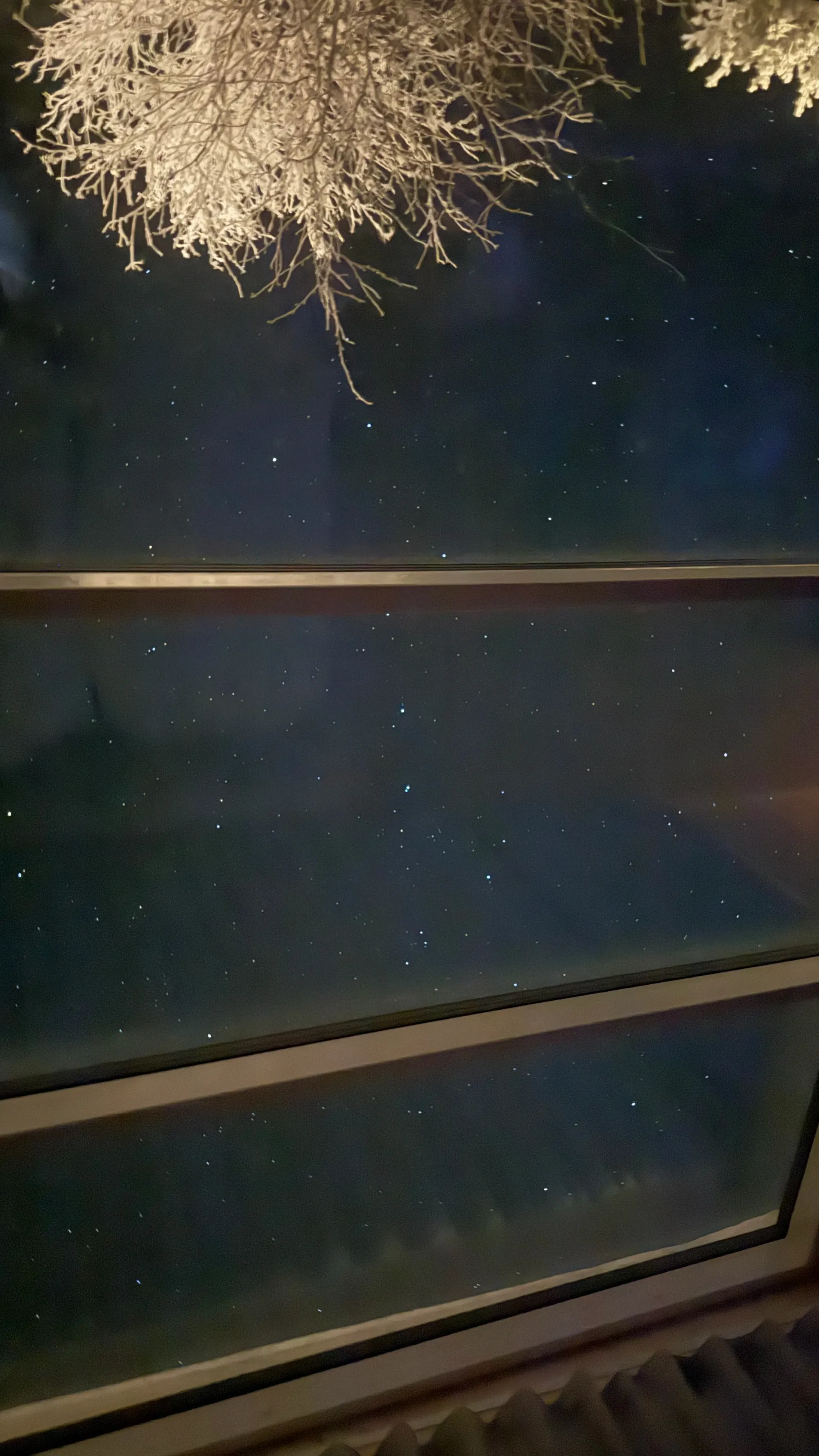 芬蘭Levi玻璃屋|漫天星空 Jacuzzi 北極光舞動 馴鹿陪食飯✨❄️💑