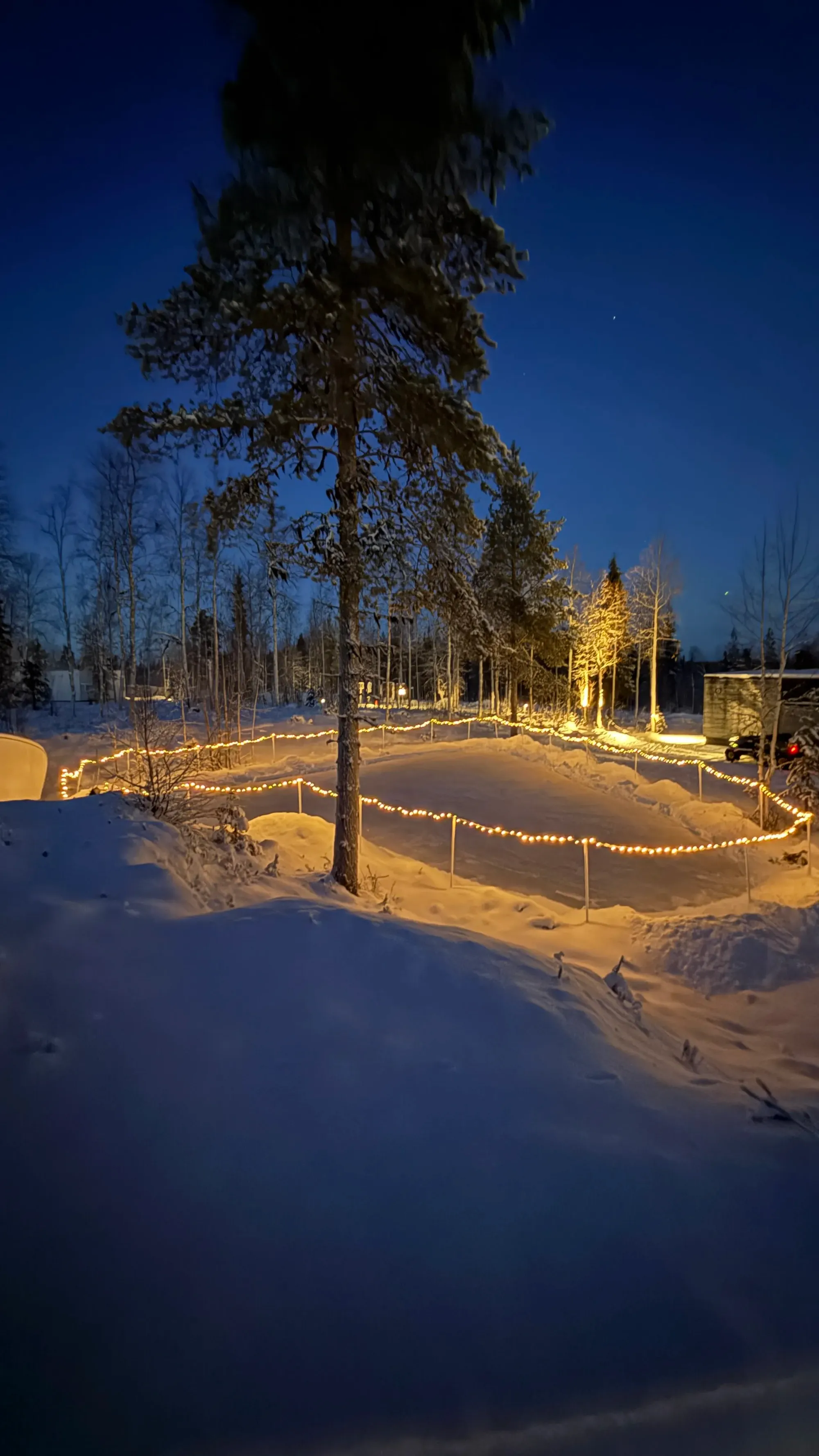 芬蘭Levi玻璃屋|漫天星空 Jacuzzi 北極光舞動 馴鹿陪食飯✨❄️💑