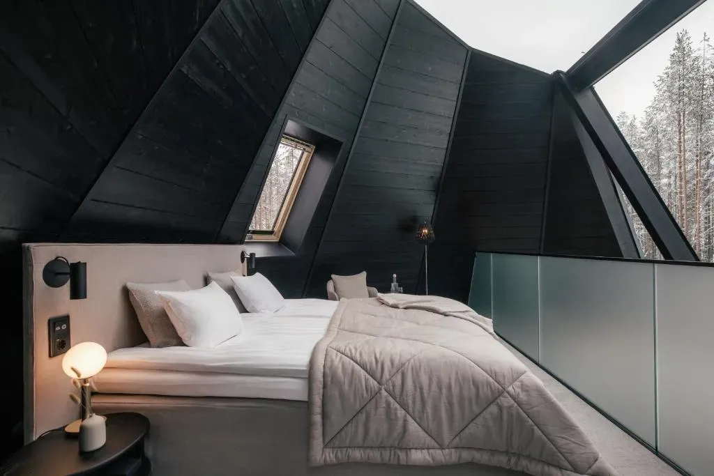 芬蘭Levi玻璃屋|漫天星空 Jacuzzi 北極光舞動 馴鹿陪食飯✨❄️💑