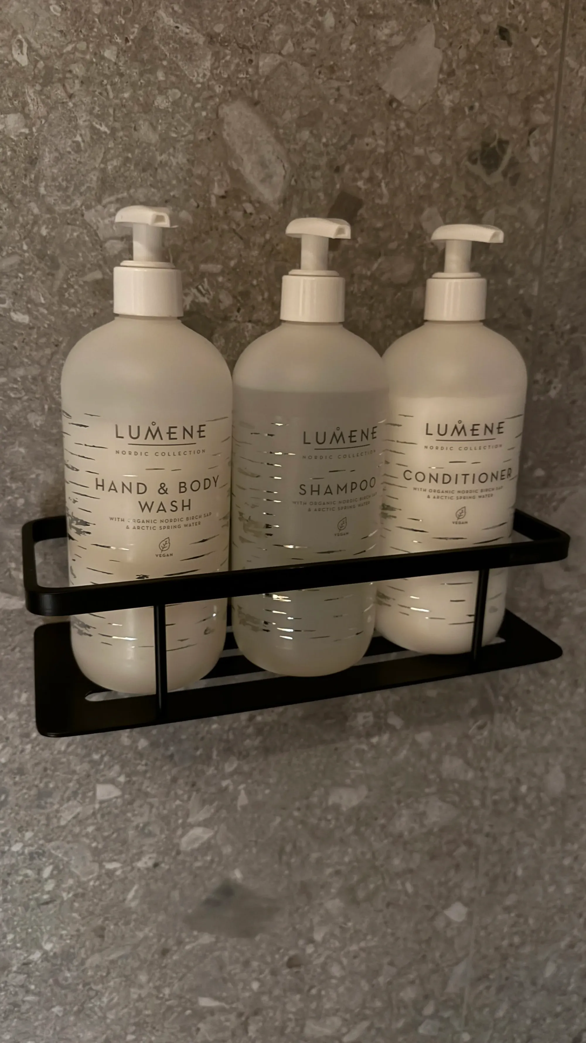 芬蘭Levi玻璃屋|漫天星空 Jacuzzi 北極光舞動 馴鹿陪食飯✨❄️💑