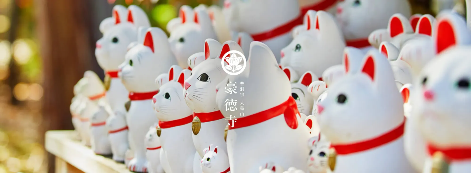 東京世田谷區豪德寺內嘅招福殿，擺滿歷年參拜者奉納嘅招福猫児，係寺內最具代表性嘅畫面之一。