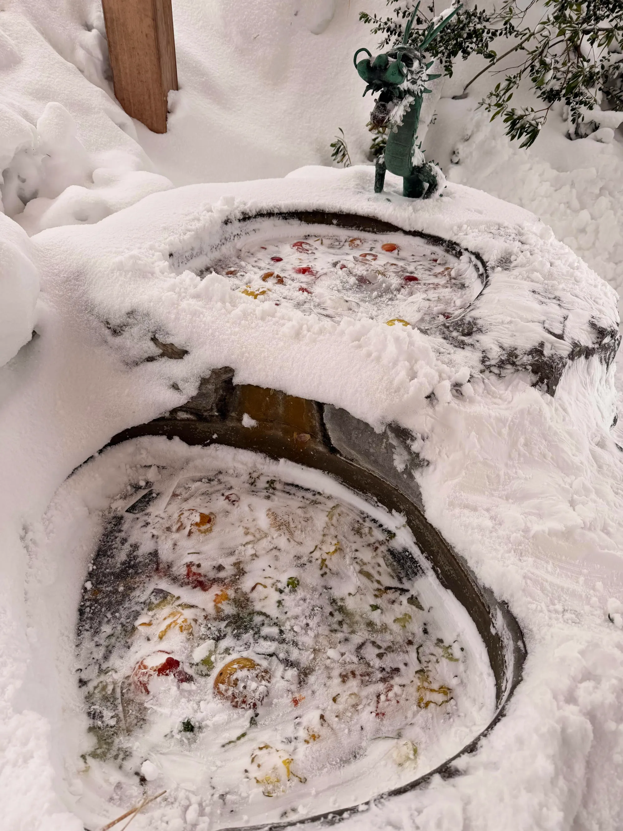 2026年2月池面全面結冰實況