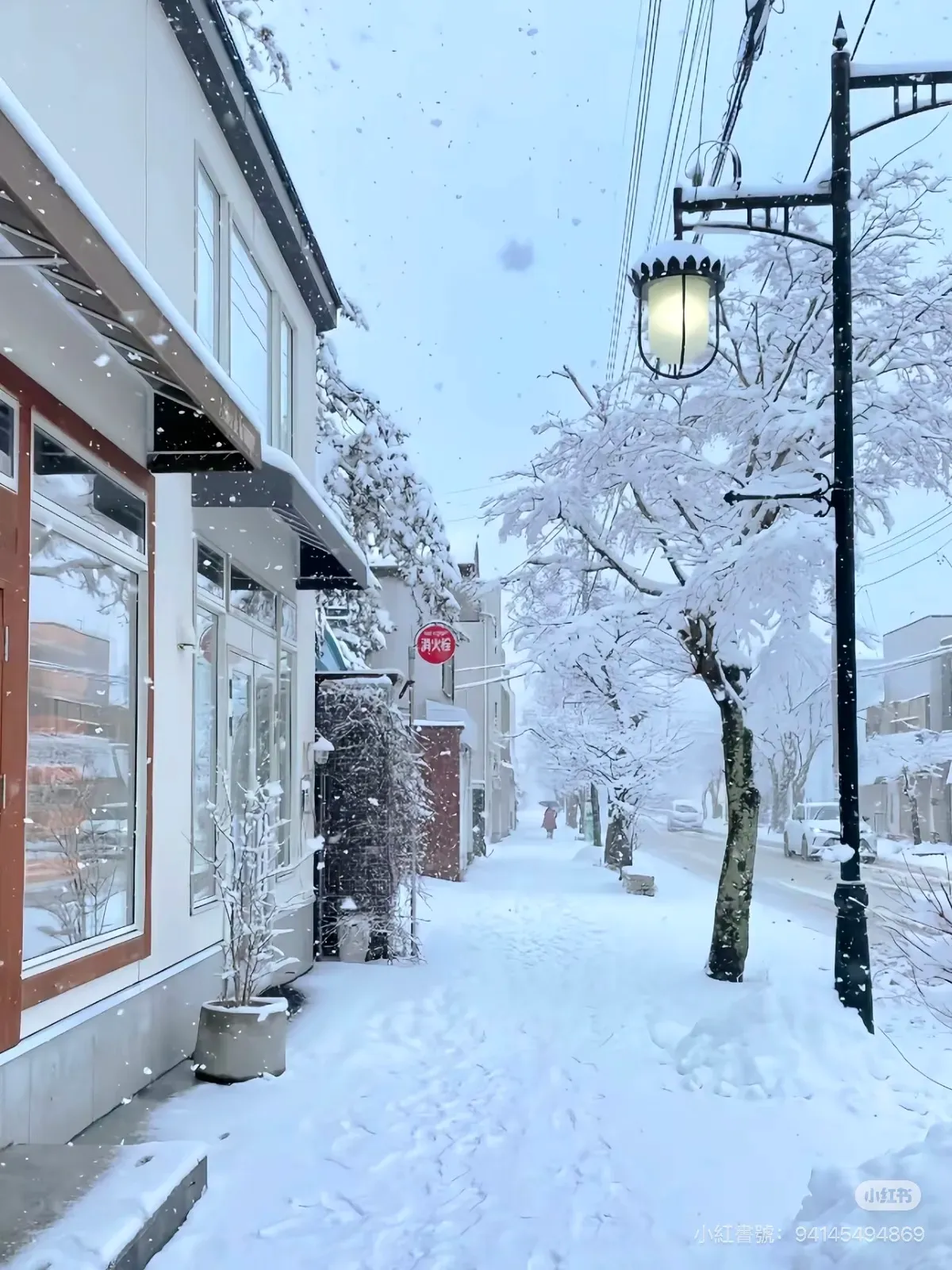 越後湯澤站外，小鎮被白雪包圍，晴天時雪面反光，非常適合拍照。