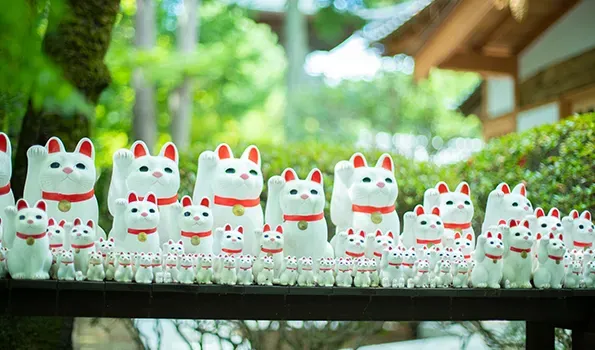 豪德寺招福猫児象徵參拜者對緣分與感恩嘅寄託，而非即時實現願望嘅工具。