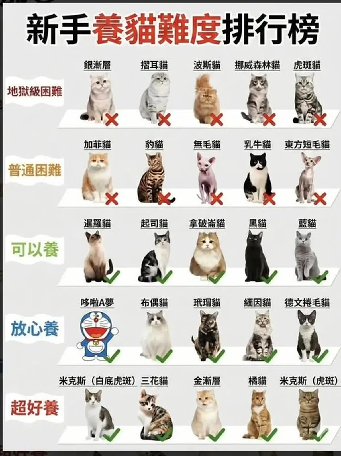 facebook社交平台流傳「新手養貓難度排行榜」,將唔同品種同花色分類成唔同難度等級