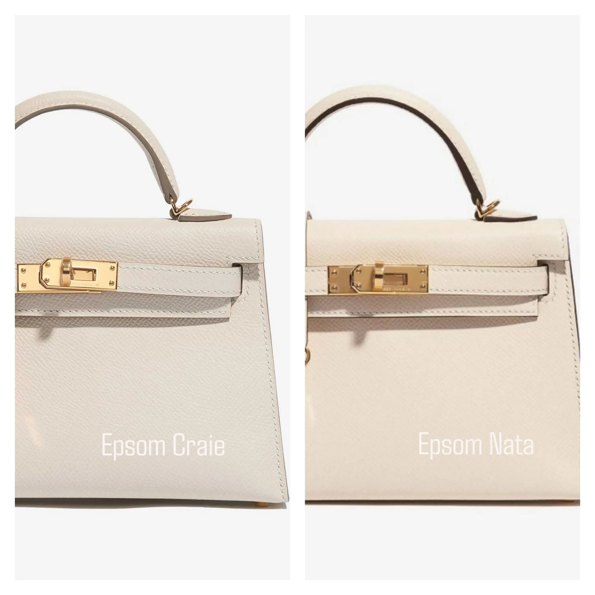 Epsom&nbsp;皮革Craie vs Nata&nbsp;顏色對比