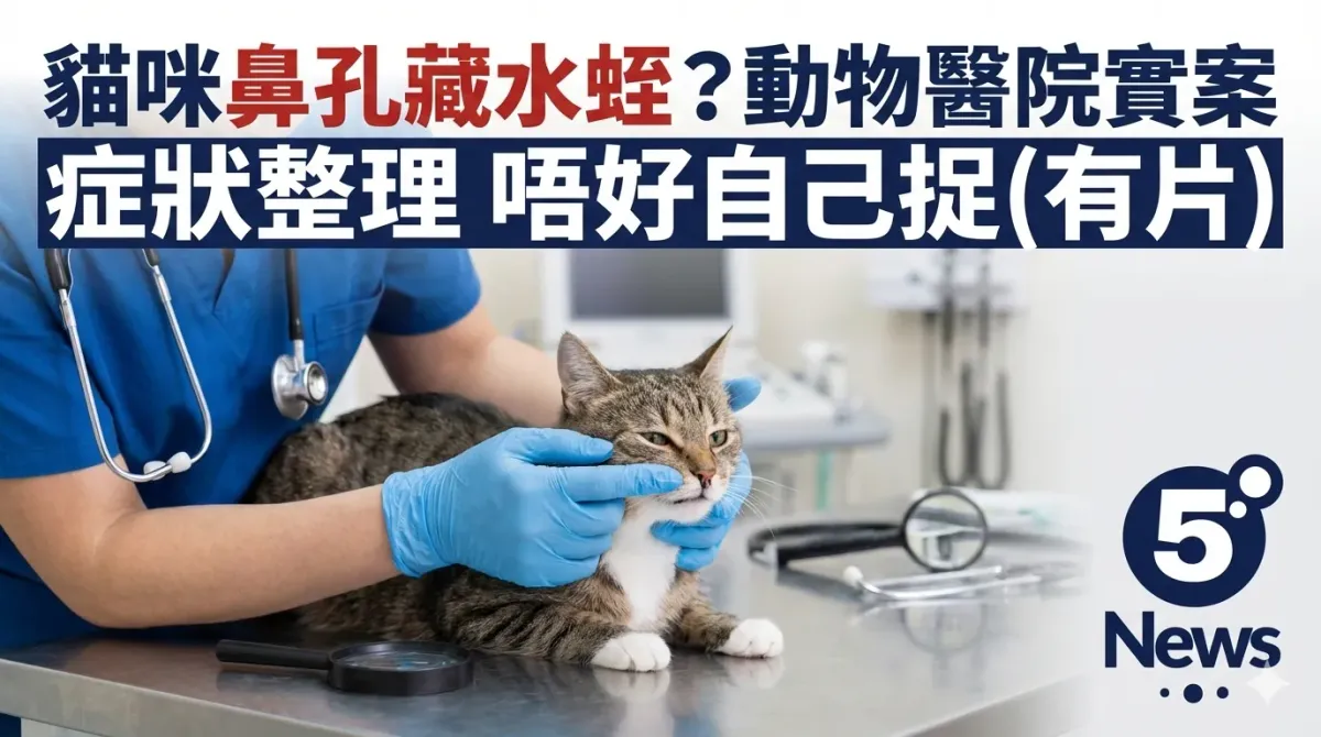 貓咪鼻孔藏水蛭？動物醫院實案 症狀整理 唔好自己捉(有片)