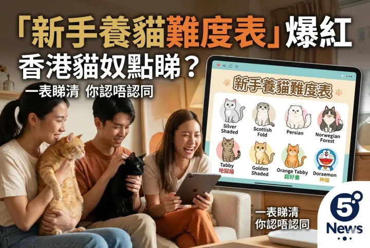 「新手養貓難度表」爆紅 香港貓奴點睇？一表睇清 你認唔認同